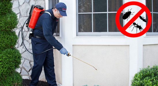 Selçuk Bit İlaçlama böcek ilaçlama ve haşere kontrolü — ilaclama-tr.com